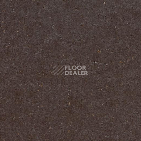 Линолеум Forbo Marmoleum Decibel on Order 358135 dark chocolate фото 1 | FLOORDEALER
